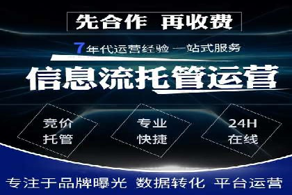 竞价广告投放技巧与案例分析